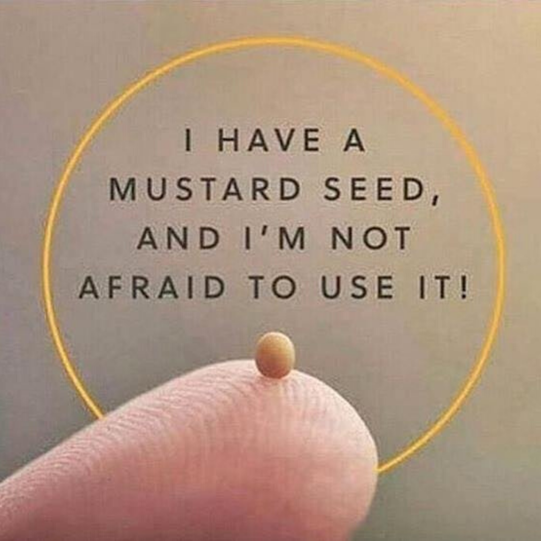 A mustard seed 💜🙏