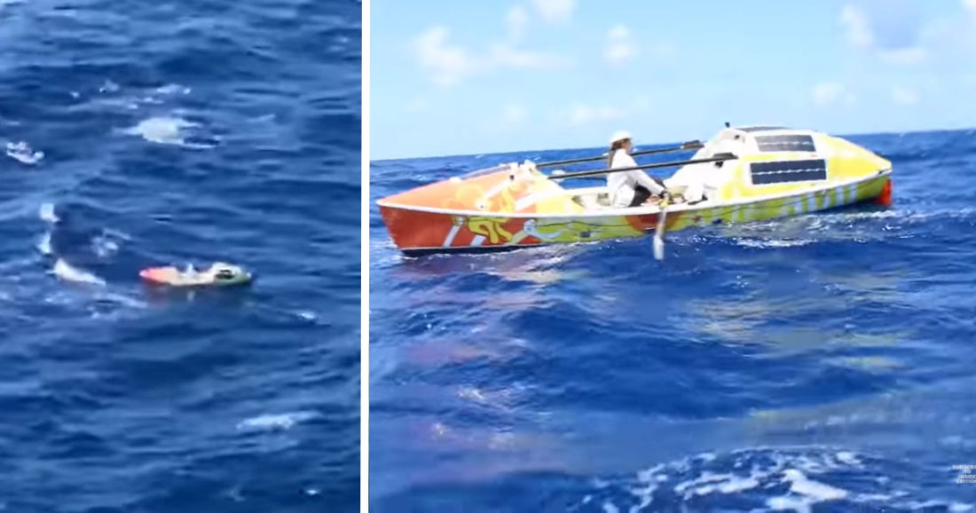 Woman Rowed From Hawaii To California For 3 Months, Didn'T Think She Would Survive