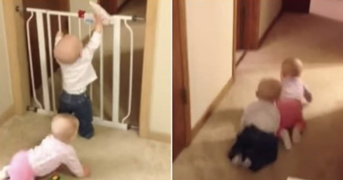 Baby Twins Plan Perfect Escape, Not Knowing Mom Sees Their Every Move