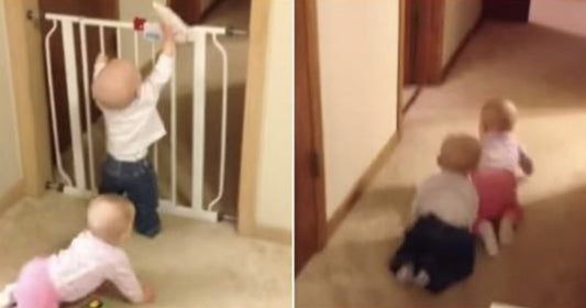 Baby Twins Plan Perfect Escape, Not Knowing Mom Sees Their Every Move